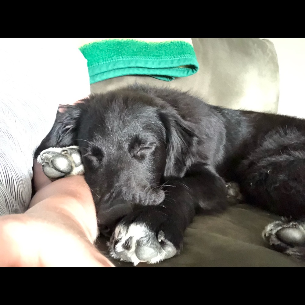 Meet your Posher, Michelle